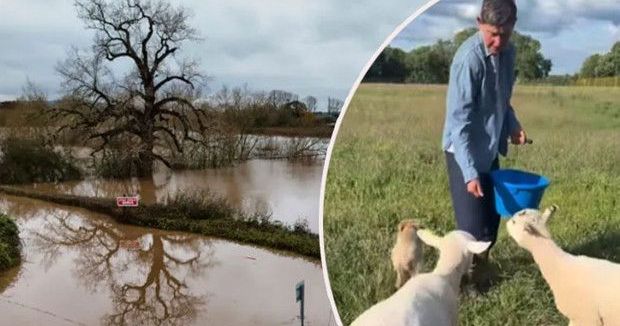 Ellen DeGeneres'in Doğal Yaşam Hayali İngiltere'de Zorluklarla Sarsıldı