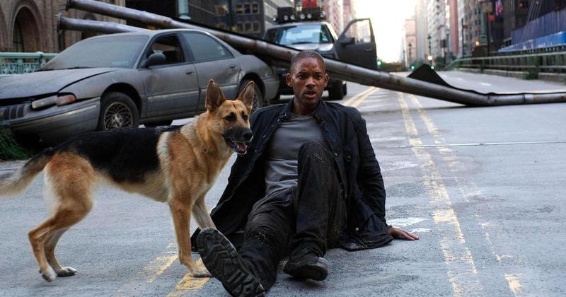 I Am Legend 2 Filmi Steven Caple Jr. Yönetmenliğinde Resmen Geliştiriliyor