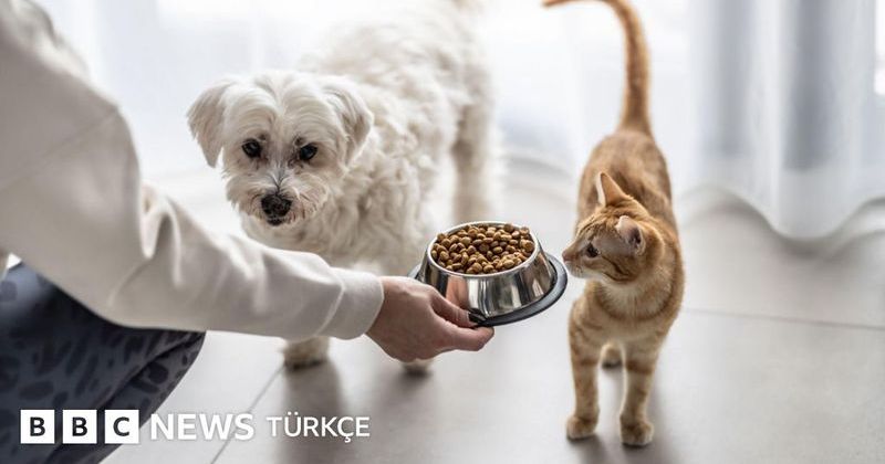 Bosch Türkiye'nin Anneler Günü Reklamı Tartışmalara Neden Oldu
