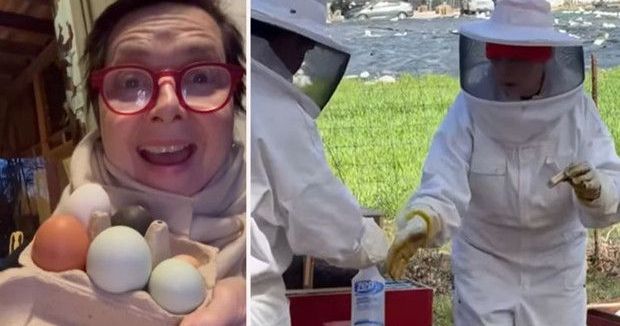 Isabella Rossellini, Sinema Dünyasından Çiftlik Hayatına: Yumurtadan Bal İşine Uzanan Yolculuk