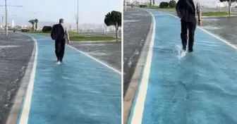 Japonya'da Terk Edilen Bebek Makak Maymunu Punch'ın Bakıcısı Konuştu