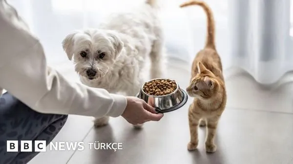Bosch Türkiye'nin Anneler Günü Reklamı Tartışmalara Neden Oldu