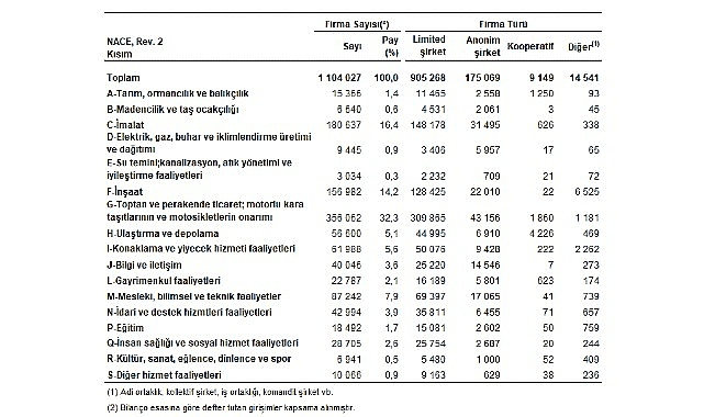 Sektör Bilançoları, 2024