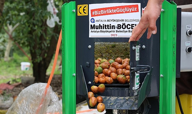 Antalya Büyükşehir Belediyesi, Ceviz Soyma Makineleriyle Üreticilerin Yanında