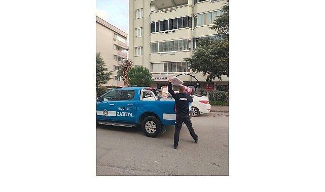 Nilüfer'de Kamu Alanlarında Kapsamlı Temizlik ve Denetim