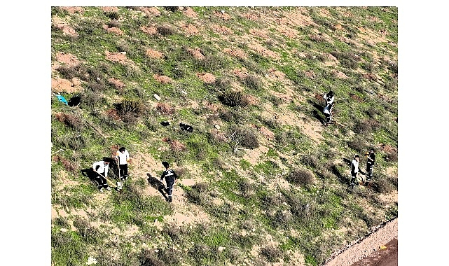 Kocaeli Büyükşehir Belediyesi’nin Ağaçlandırma Çalışmalarıyla Kocaeli Daha Yeşil Hale Geliyor