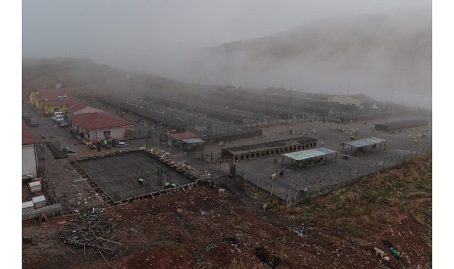 Sivas'ta Sokak Hayvanları İçin Modern ve Sağlıklı Yaşam Alanları Oluşturuluyor