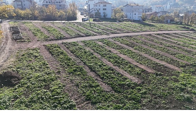 Kocaeli Büyükşehir’den Gölcük’e Yeni Mezarlık Alanları