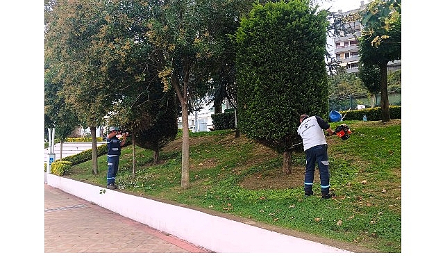 Kocaeli Büyükşehir’den Yeşil Alanlara Özenli Bakım Çalışmaları