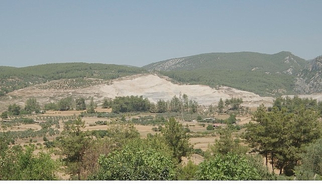 Doğa İçin Sorumluluk Hepimizde:   TEMA Vakfı 2025'in Çevre Olaylarını Değerlendirdi