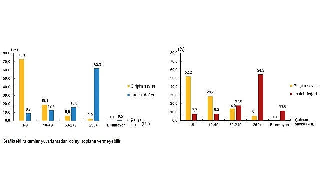 2023 Uluslararası Hizmet Ticareti İstatistikleri: Girişimlerin Rolü ve Payları
