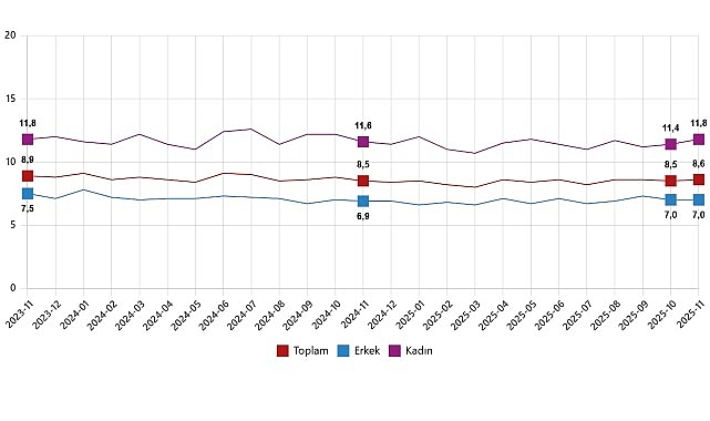 İşgücü İstatistikleri, Kasım 2025