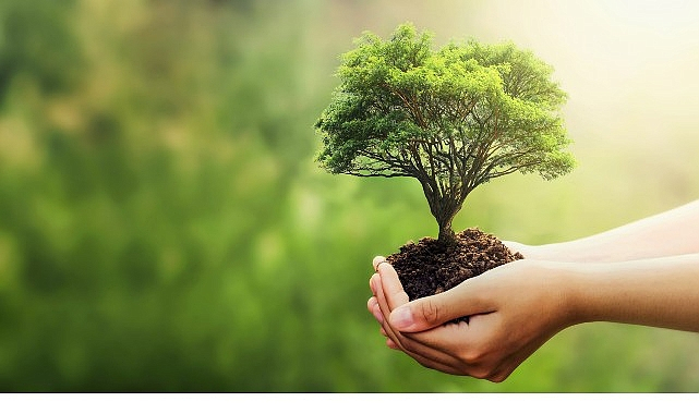 Fuzul, 2025 Çalışanı İçin Çanakkale ve Şanlıurfa’ya 2025 Fidan Bağışladı