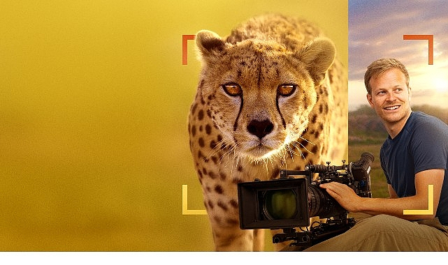 Bertie Gregory, Çitalarla Yüz Yüze: 3 Ocak Cumartesi 20.00'de National Geographic WILD'da