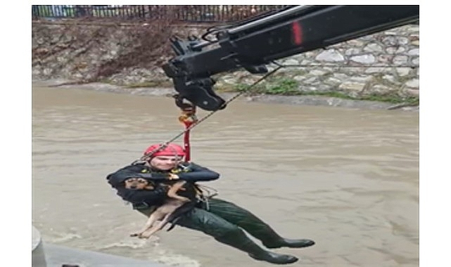 Dereye Düşen Köpek İtfaiye Ekipleri Tarafından Hızla Kurtarıldı