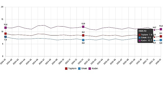 İşgücü İstatistikleri, Ocak 2026